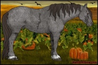 Horse Color:Liver Chestnut Ice 