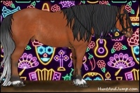 Horse Color:Bay Rabicano
