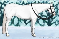 Horse Color:Amber Champagne Leopard  and Silver Amber Champagne Leopard 