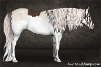 Horse Color:Liver Chestnut Splash  and Gold Cream Champagne Dun Splash 