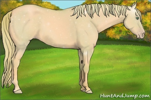 Horse Color:Watercolor Gold Cream Champagne Dun 