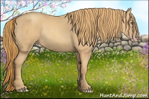 Horse Color:Gold Champagne Rabicano