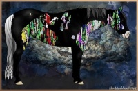 Horse Color:Smoky Black Ice Splash Tobiano 