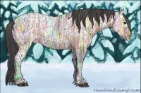 Horse Color:Bay Ice Appaloosa