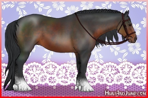 Horse Color:Brown 