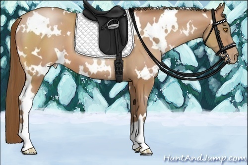 Horse Color:White Spotted Brown Pearl