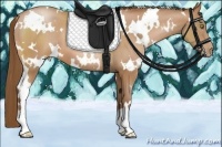 Horse Color:White Spotted Brown Pearl