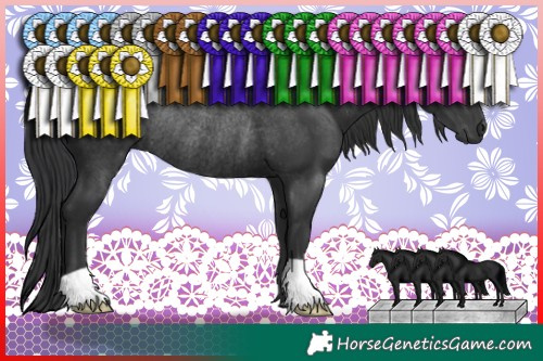 Horse Color:Black Rabicano 