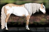 Horse Color:Silver Amber Champagne Frame 