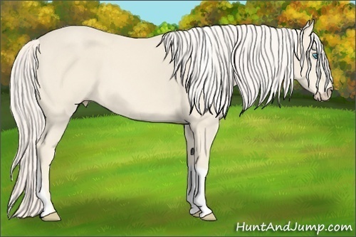 Horse Color:Cremello Tobiano