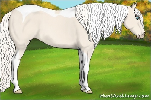 Horse Color:Cremello Tobiano 
