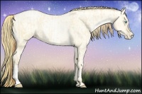 Horse Color:Buckskin Roan Pearl Dun  and Buckskin Roan Pearl Dun 
