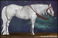 Horse Color:White Spotted Silver Grullo Chinchilla Ice Splash 