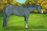 Horse Color:Watercolor Black Ice 