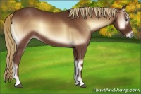 Horse Color:Red Onyx 