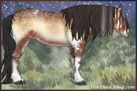 Horse Color:White Spotted Bay Ice Onyx Sabino