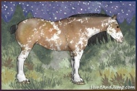 Horse Color:Brown Dun Sabino