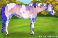 Horse Color:Watercolor Plaid Blue Onyx Tobiano