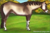 Horse Color:Red Onyx