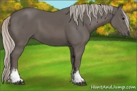 Horse Color:White Spotted Silver Black 