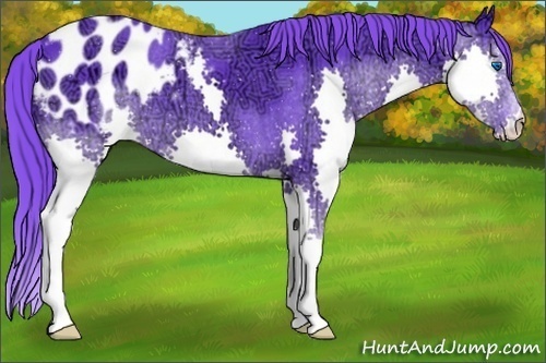 Horse Color:Watercolor Black Ice Splash Appaloosa 