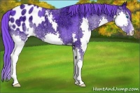 Horse Color:Watercolor Black Ice Splash Appaloosa