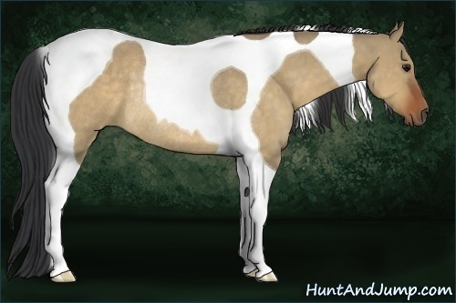 Horse Color:Brown Dun Tobiano Rabicano 