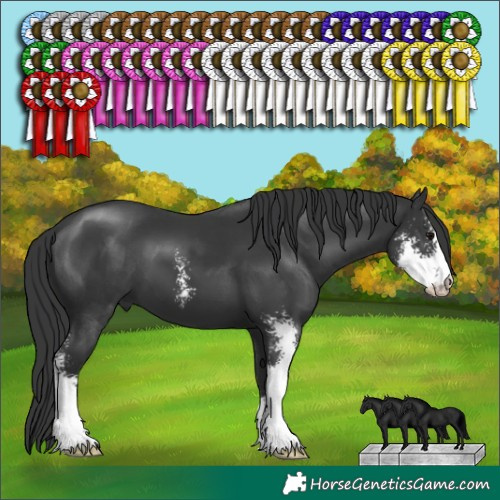 Horse Color:Black Sabino