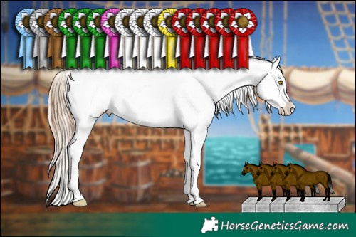 Horse Color:Sable Champagne Dun Appaloosa Brindle  and Gold Champagne Appaloosa 