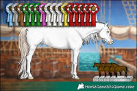 Horse Color:Sable Champagne Dun Appaloosa Brindle and Gold Champagne Appaloosa