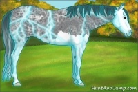 Horse Color:Thunderstruck Blue Ice Roan Splash 