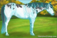 Horse Color:Thunderstruck White Spotted Black Splash 