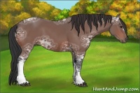 Horse Color:Bay Ice 