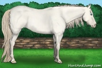 Horse Color:Perlino Roan Dun 