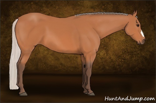 Horse Color:Silver Bay 