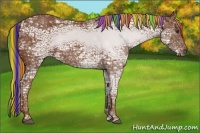 Horse Color:Painted Chestnut Ice