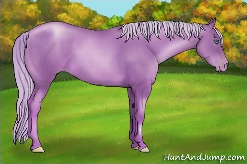 Horse Color:Chocolate Palomino Pearl