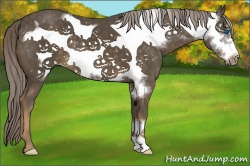 Horse Color:Chocolate Palomino Frame 