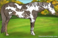 Horse Color:Chocolate Palomino Frame 