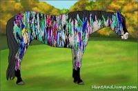 Horse Color:Bay Ice Roan Dun Splash Rabicano