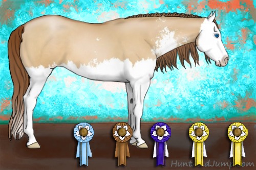 Horse Color:Bay Pearl Dun Sabino Splash 