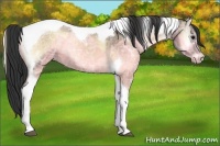 Horse Color:Brown Ice Onyx Tobiano 