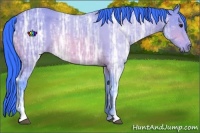 Horse Color:Watercolor Bay Ice Sabino