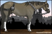 Horse Color:Smoky Grullo