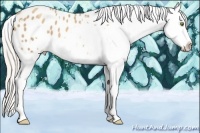 Horse Color:White Spotted Silver Sable Champagne Snowflake Varnish 