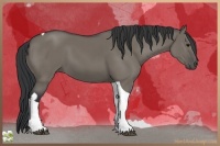 Horse Color:Grullo Tobiano