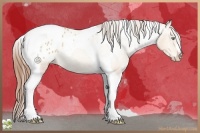 Horse Color:Amber Champagne Tobiano Appaloosa Rabicano