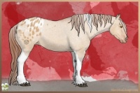 Horse Color:Bay Roan Dun Tobiano Varnish Rabicano 