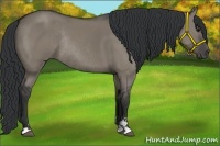 Horse Color:Grullo Sabino Rabicano