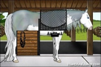 Horse Color:Watercolor Silver Grullo Sabino Splash